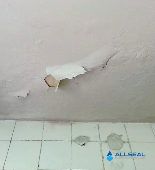 Wall Seepage Repair