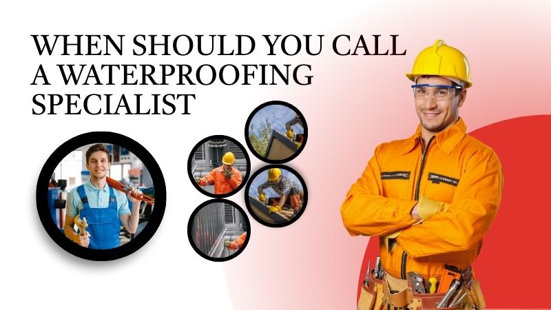 When Should You Call a Waterproofing Specialist Instead of a Plumber?